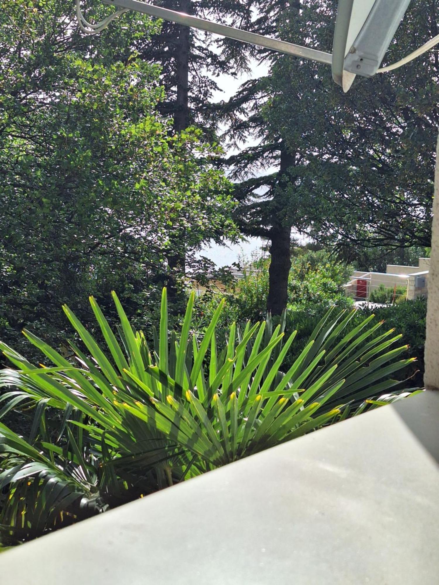 Villa Haus Niko Senj  Exterior foto